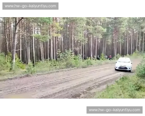 WRC赛后数据：速度之外的语言解码