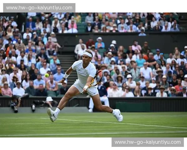 温网集锦：草地光影里的坚持与胜利